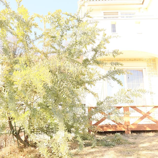 S.homeさんの実例写真