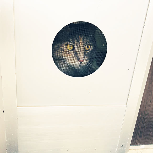 mayumiさんの実例写真