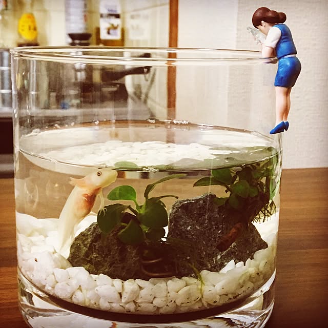 mu_muさんの実例写真