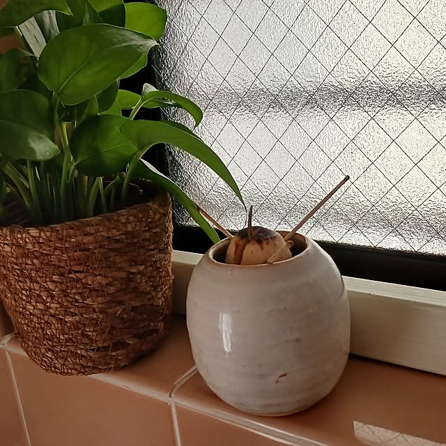 mizukingyoさんの部屋