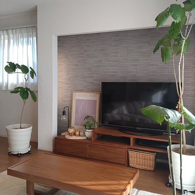 tan5さんの実例写真