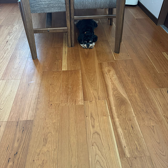 beaさんの実例写真