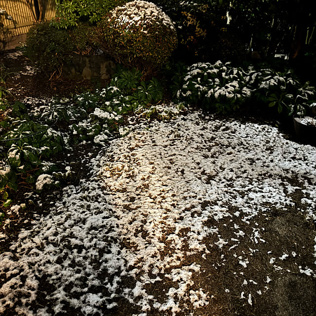 mamizaさんの実例写真