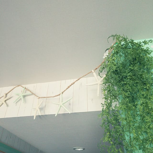 Sukeさんの実例写真