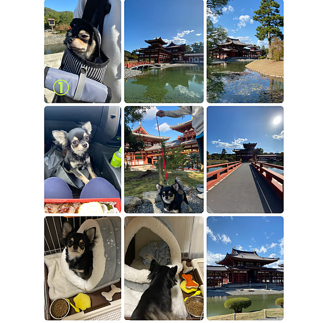 実例写真