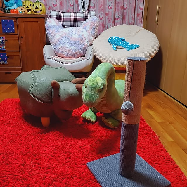 kumutanさんの部屋