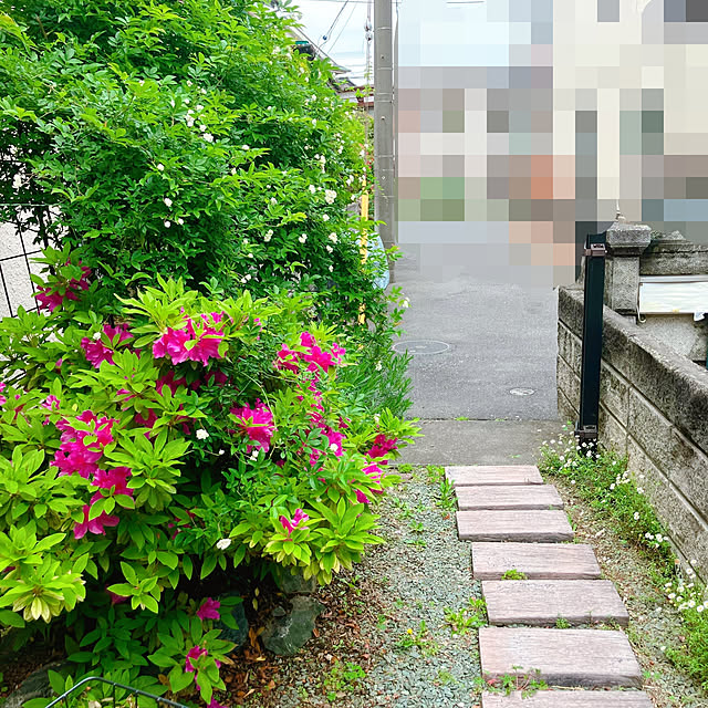 akanekoさんの部屋