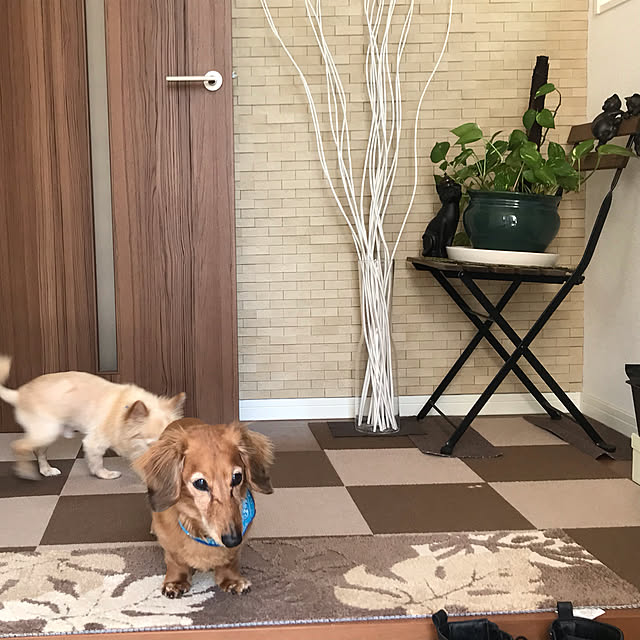 MIUさんの実例写真