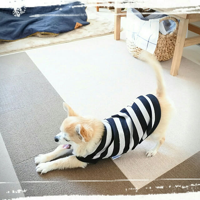 kouさんの実例写真