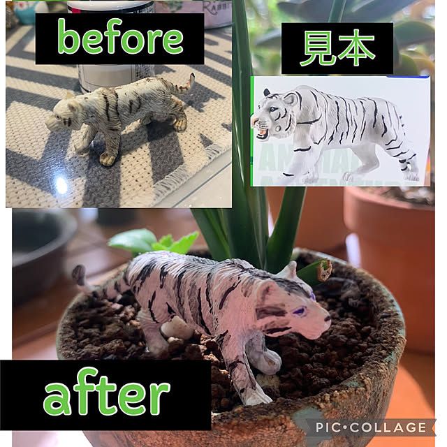 Aqettyさんの部屋