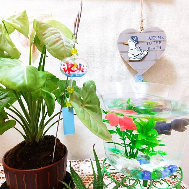 katさんの実例写真