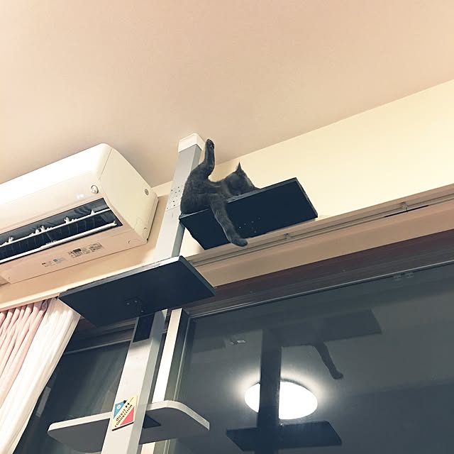 Shojiさんの実例写真
