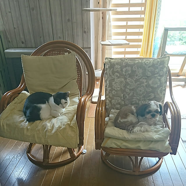 SHIHOさんの実例写真