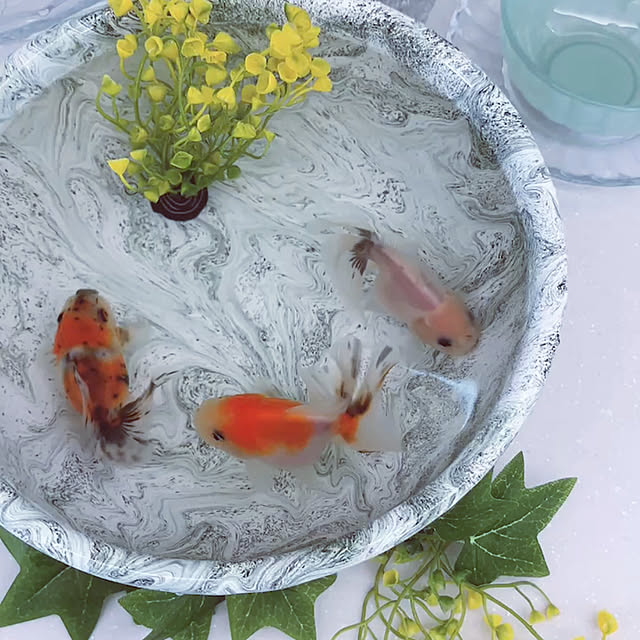 tomatoさんの部屋