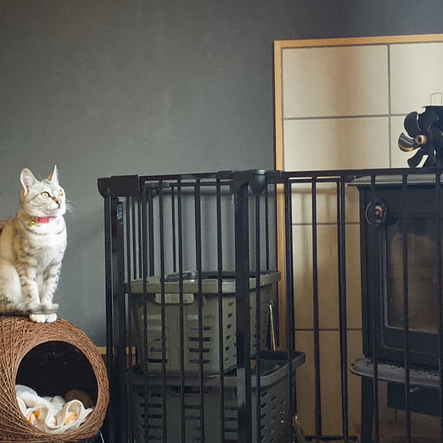 nnnkpmapmさんの部屋