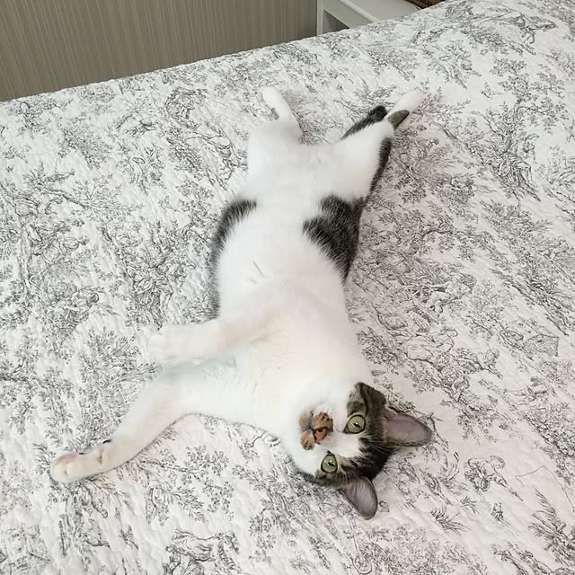 yuchiさんの実例写真