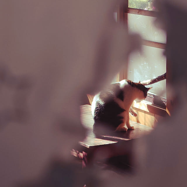 kikuさんの実例写真