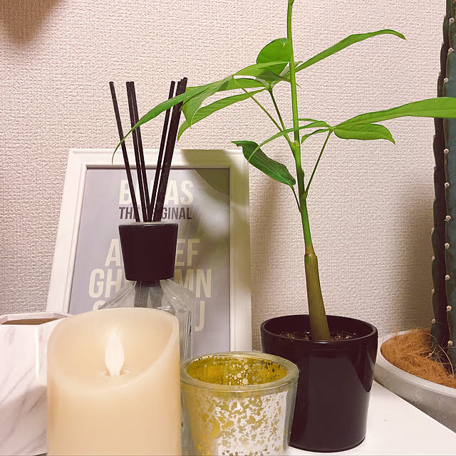 APNさんの実例写真