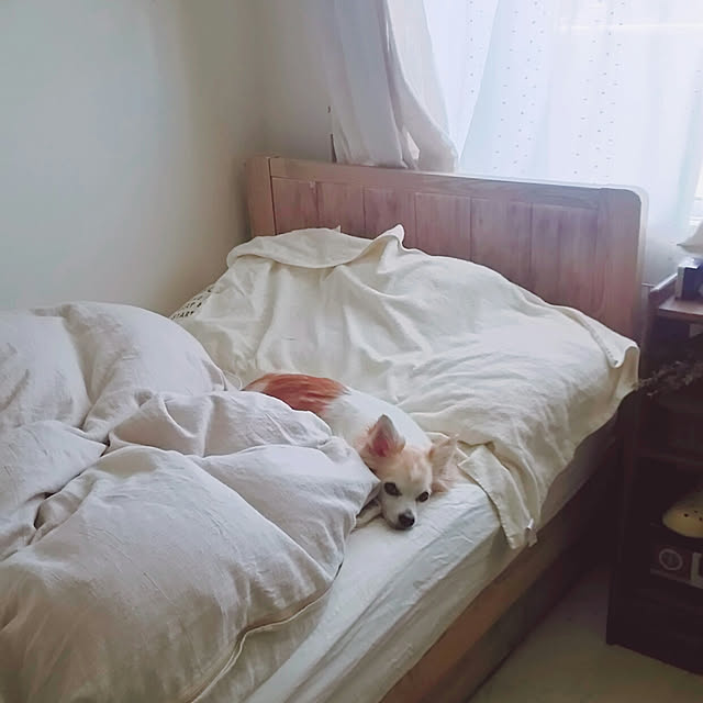 nonさんの実例写真