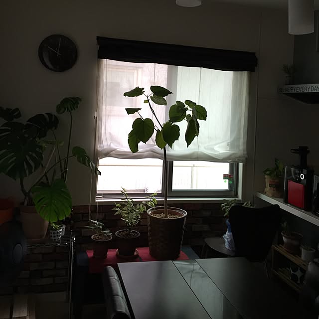 chuchuさんの実例写真