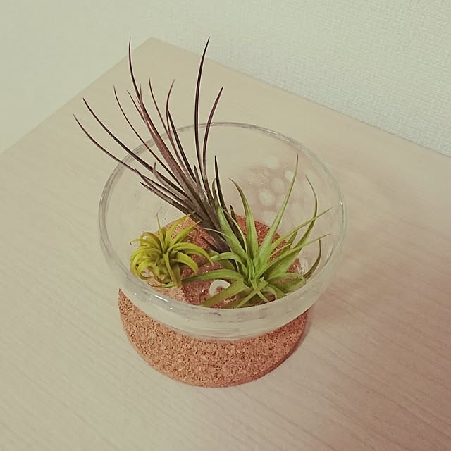 lina.Nさんの実例写真