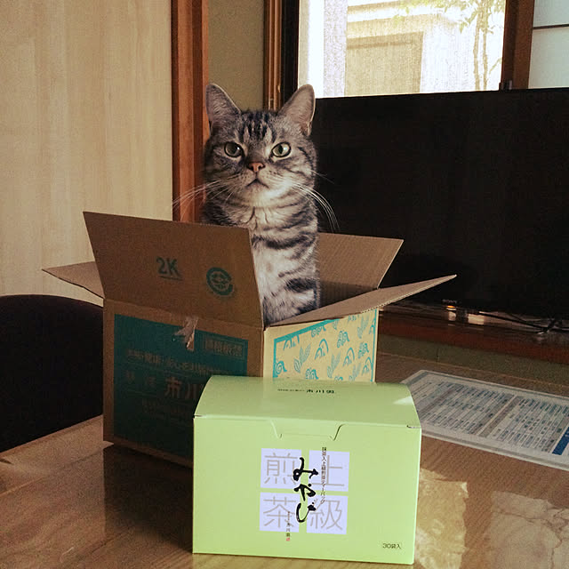 richanさんの実例写真