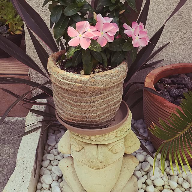 beetlechanさんの実例写真
