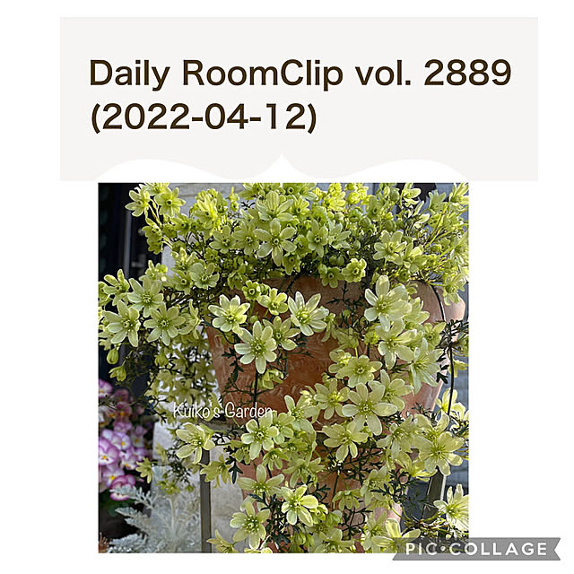 kuikoさんの実例写真