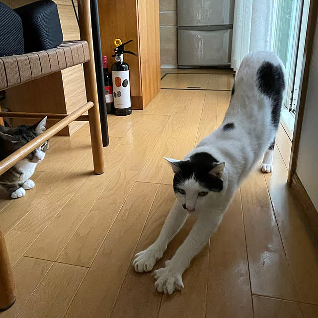 nobikoさんの実例写真