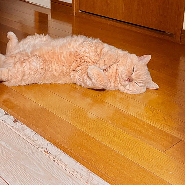 naokoさんの実例写真