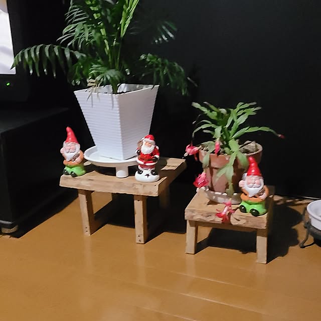 SAKUYNさんの実例写真