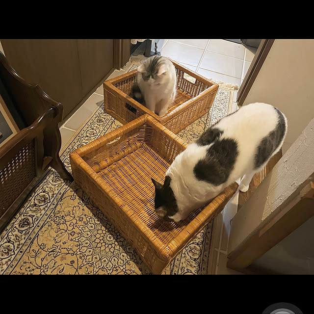 marusanさんの実例写真
