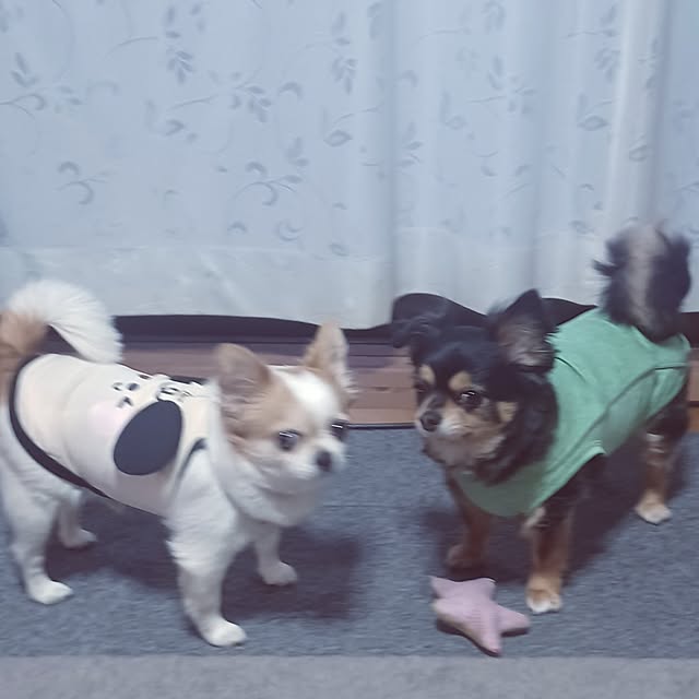 hiro-yさんの実例写真