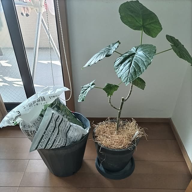 sakiさんの実例写真