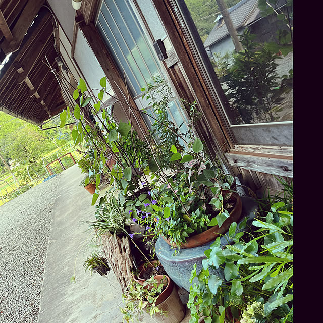 cota2さんの実例写真