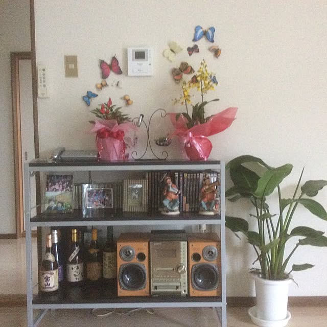 Tomokoさんの実例写真