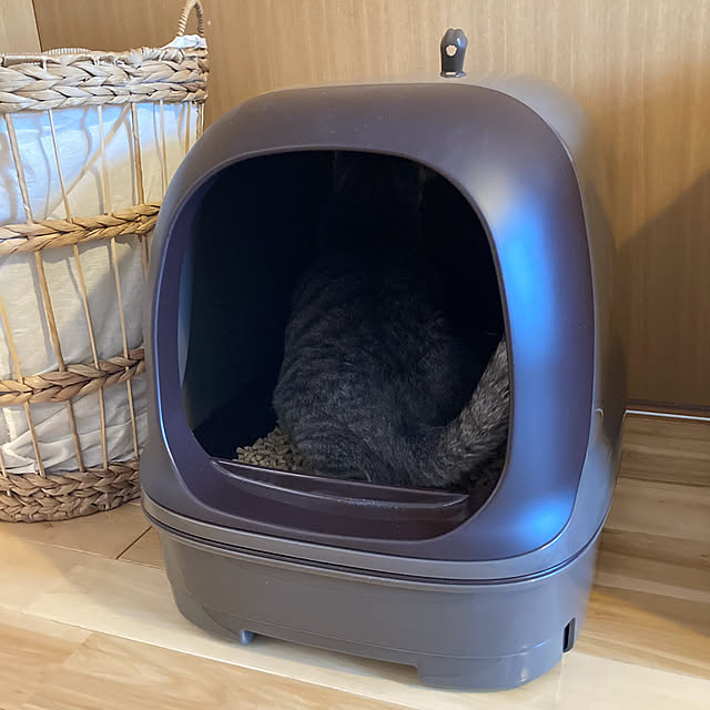 Yuccaさんの部屋