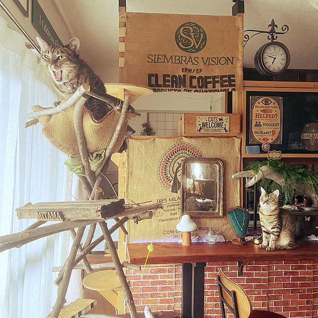 Mさんの実例写真
