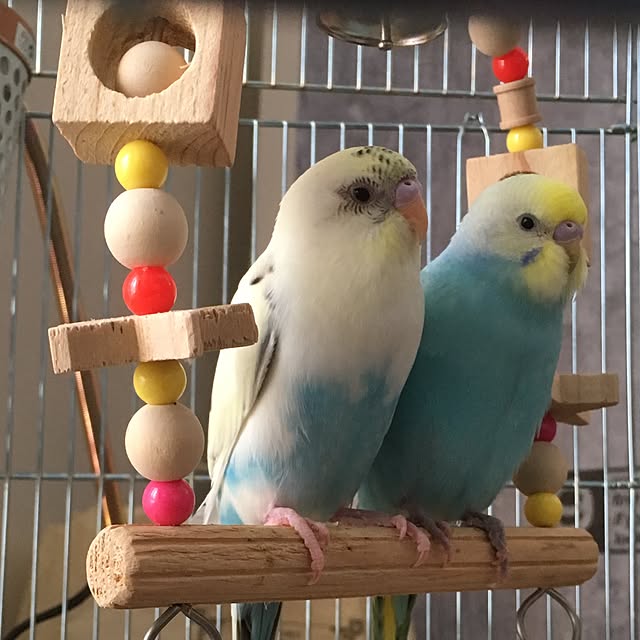 miakさんの実例写真