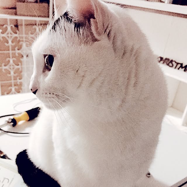 miさんの実例写真