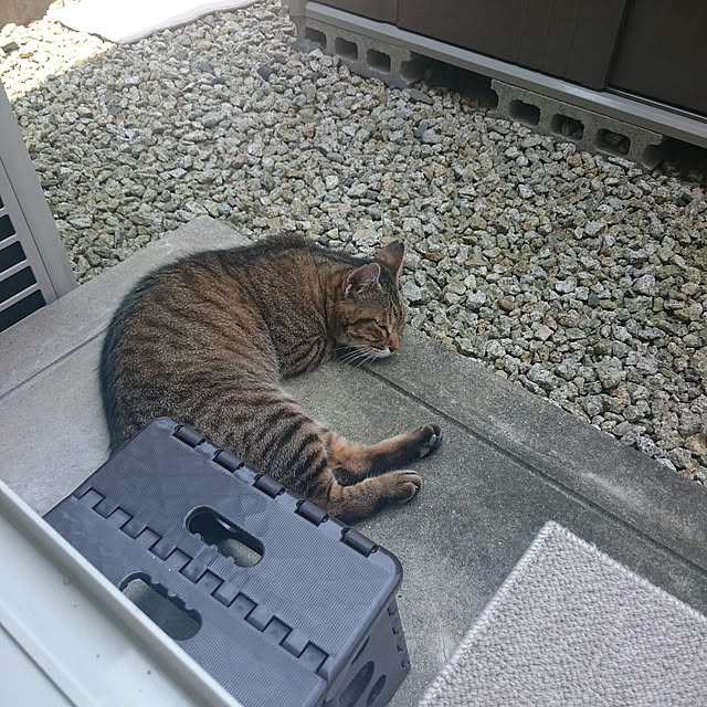 lilyさんの実例写真