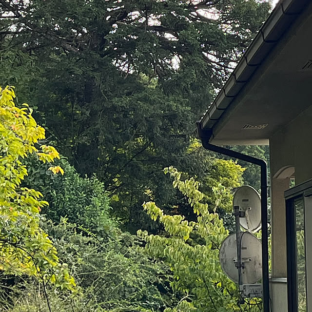 cota2さんの部屋