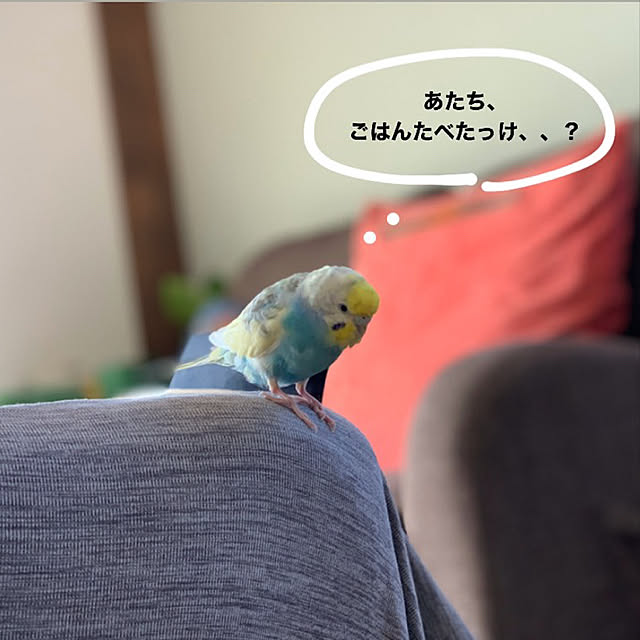 Unokiさんの実例写真