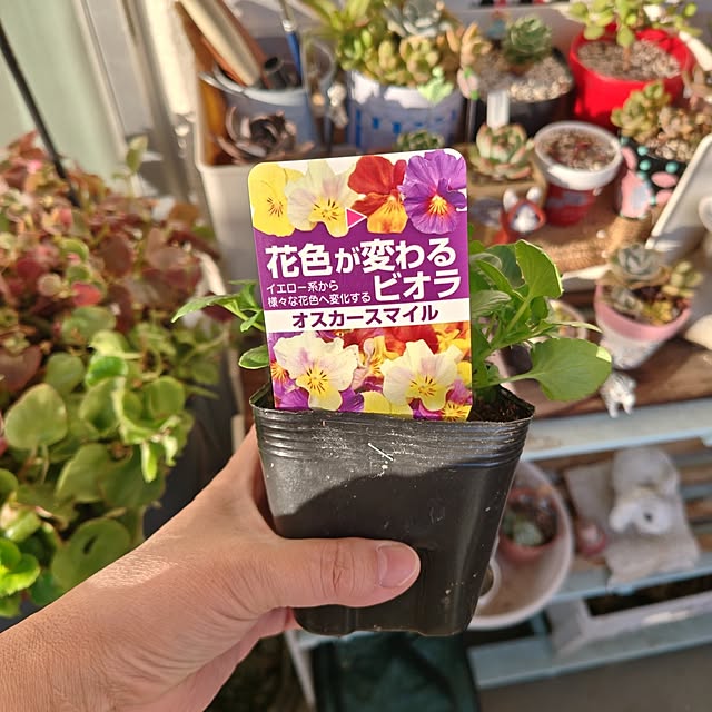 mariaさんの部屋