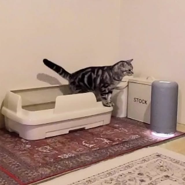 lovepeaceさんの実例写真
