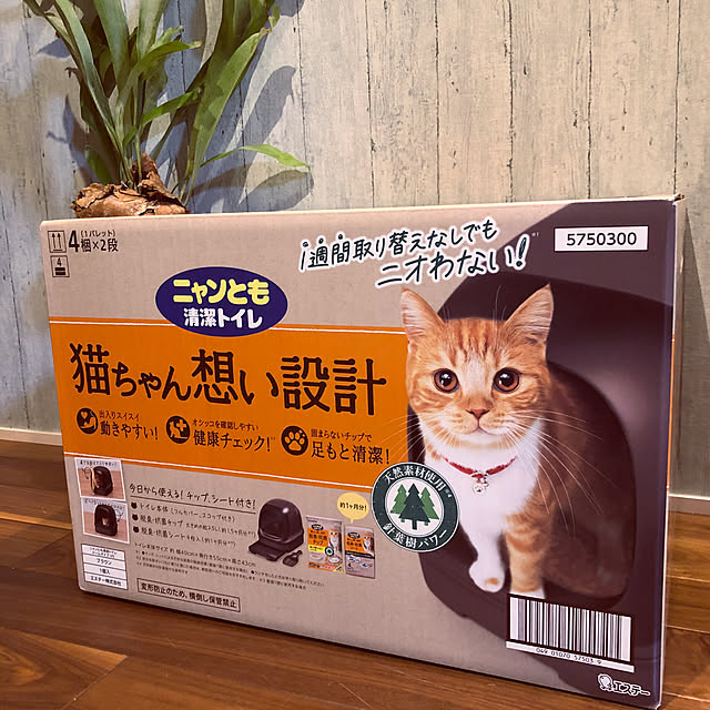 miyupannaさんの部屋