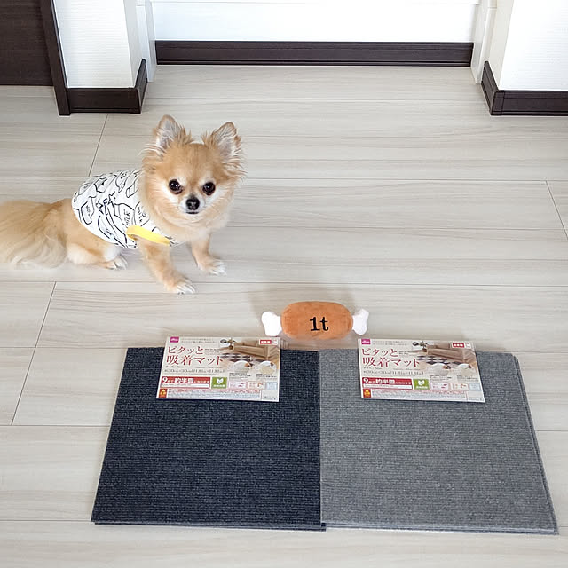 kojikojiさんの実例写真