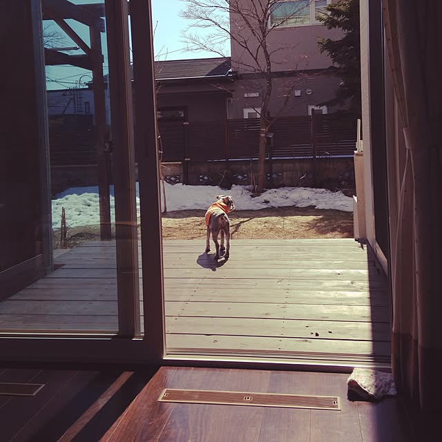 Minoさんの実例写真