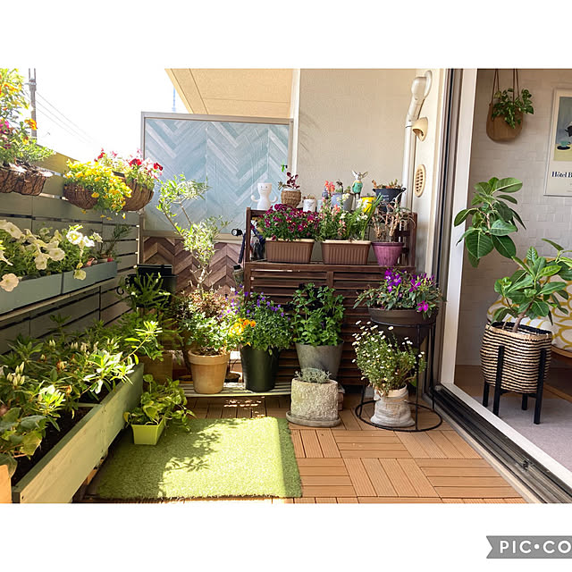 marukoさんの部屋