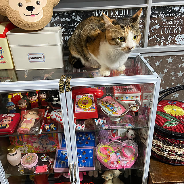 vivienne.coco-keiさんの実例写真